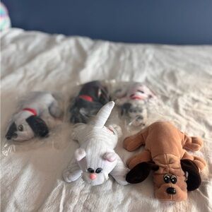 Lot Of Pound Puppies. 4 Puppies 1 Cat.